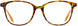 2 - Orange Tortoise