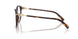 8015 - Tortoise