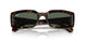 135971 - Tortoise - Grey Black