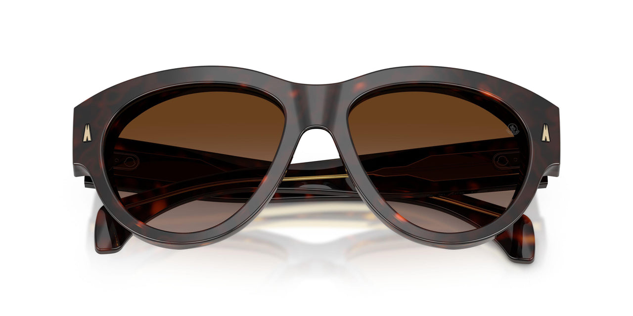 300213 - Tortoise - Brown Gradient