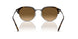 710/M2 - Tortoise - Brown