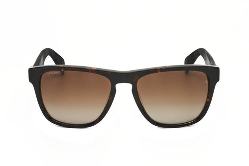 Rag & Bone RNB5031_G_S Sunglasses