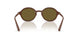 329673 - Brown - Dark Brown
