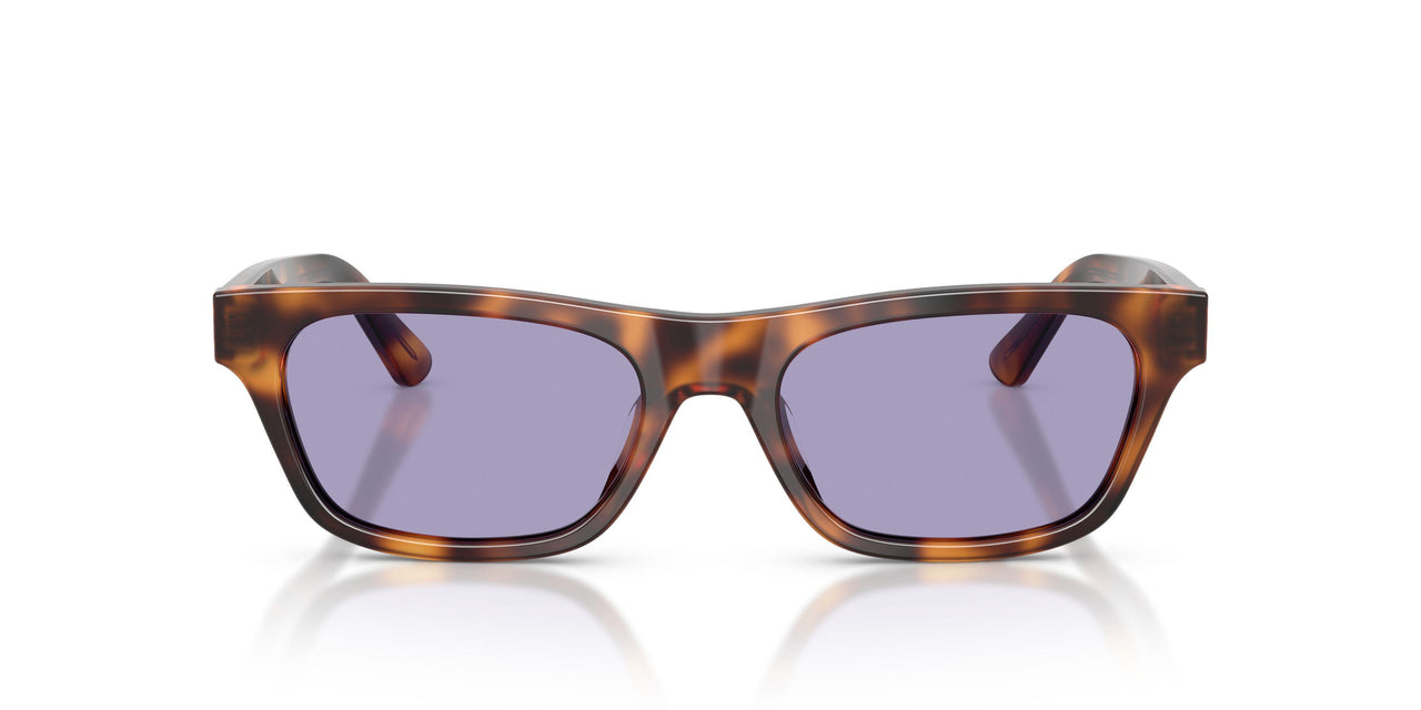 63551A - Tortoise - Lilac