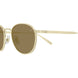001 - Gold - Brown