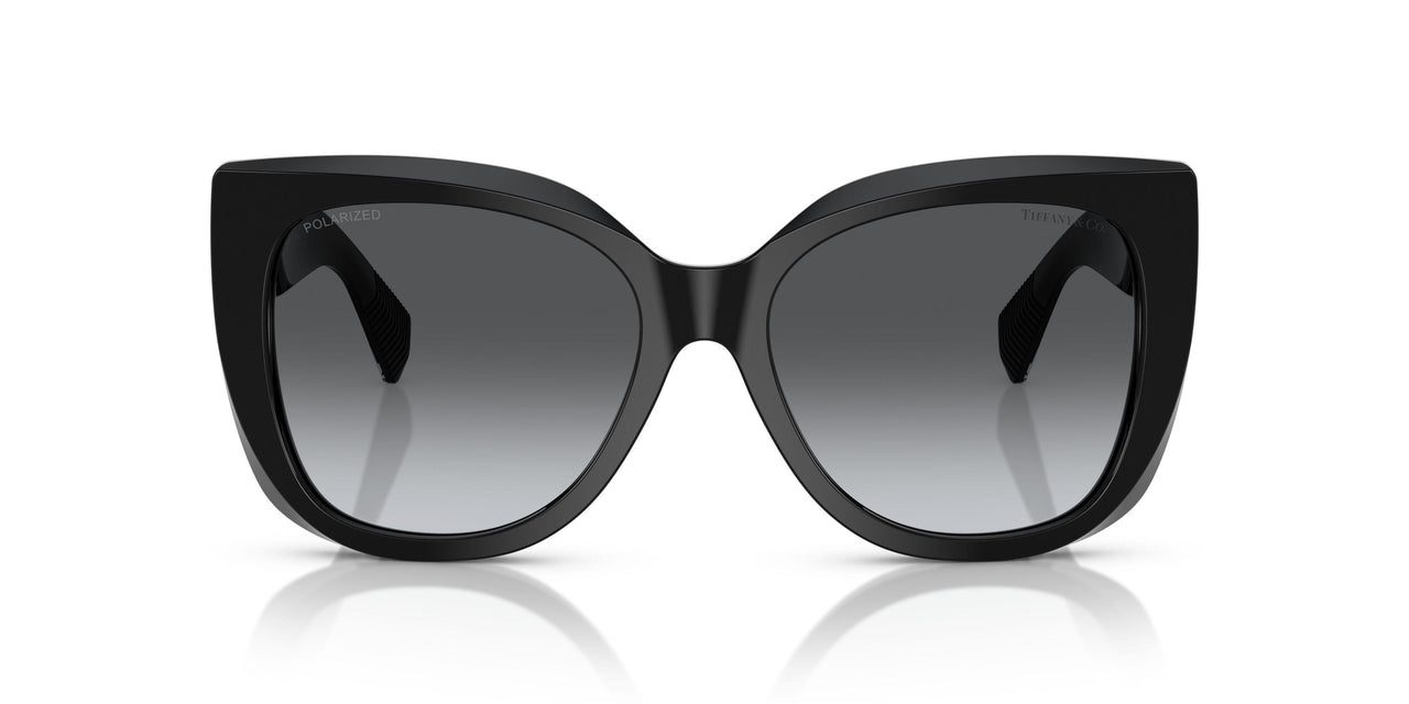 8001T3 - Black - Polar Grey Gradient