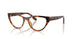 W656 - Brown