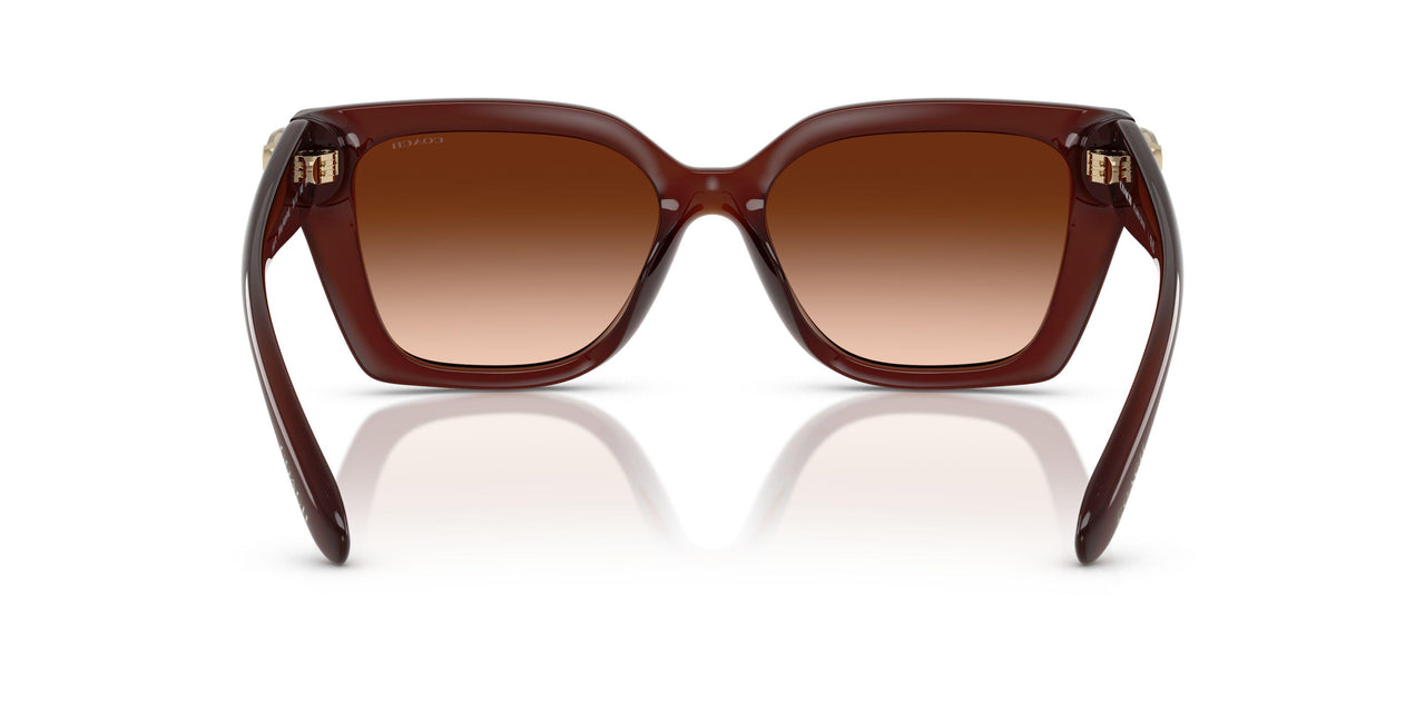 584174 - Brown - Brown Gradient