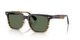 13929A - Brown - G-15 Polarized