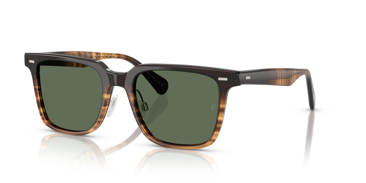 13929A - Brown - G-15 Polarized