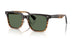 13929A - Brown - G-15 Polarized
