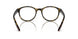 5811O1 - Tortoise