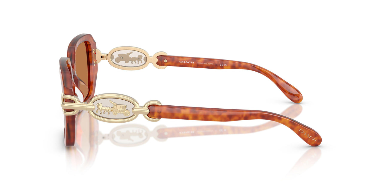 577473 - Tortoise - Amber Solid