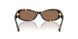 198173 - Tortoise - Brown