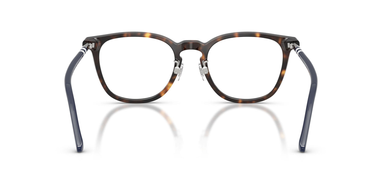 5003 - Tortoise
