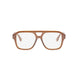 047 - Shiny Brown - DEMO