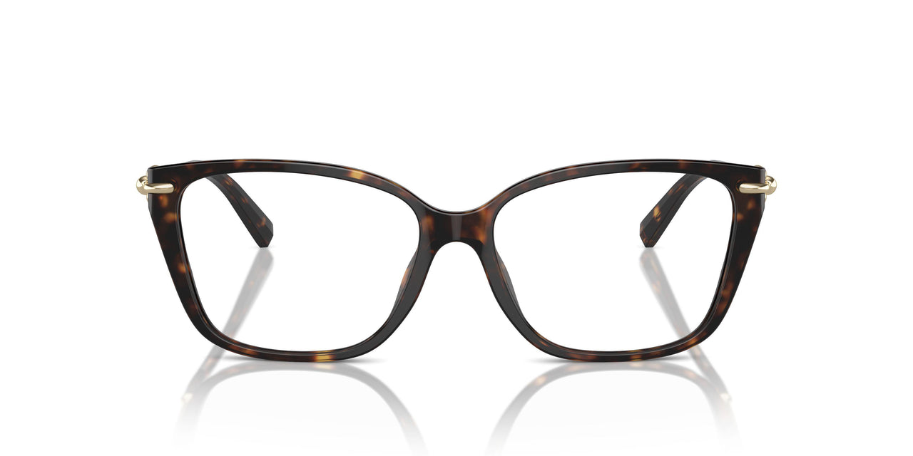 8404 - Tortoise