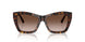 500213 - Tortoise - Gradient Brown