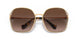 7OE6S1 - Gold - Brown Gradient