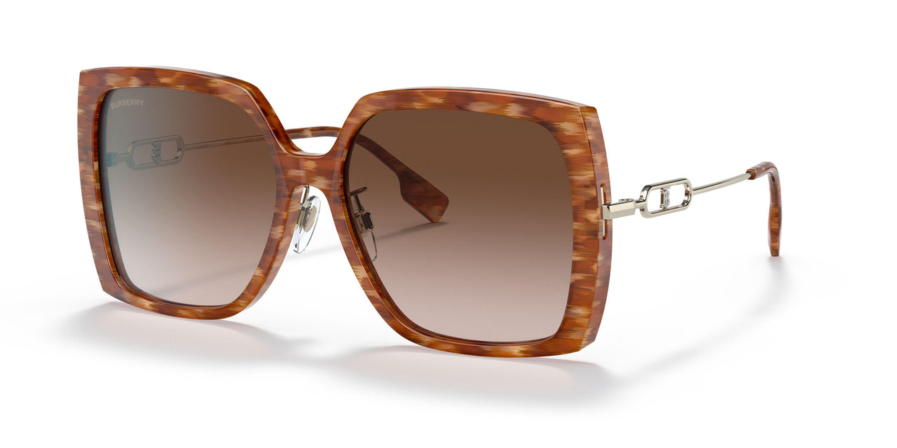 391513 - Brown - Brown Gradient