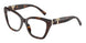 8015 - Tortoise