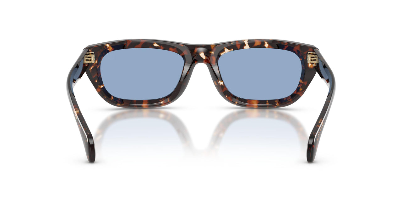 304880 - Tortoise - Solid Light Blue