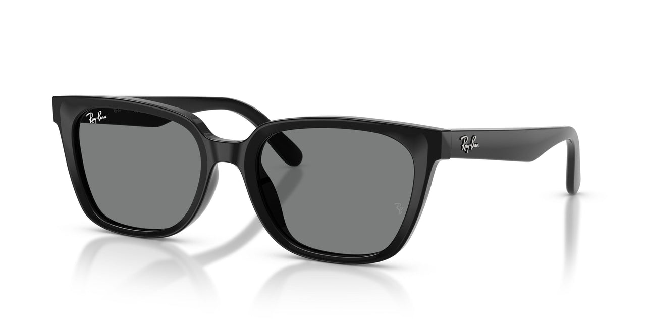 Ray-Ban 2243D Sunglasses