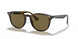 710/73 - Havana - Brown