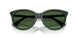 416271 - Green - Dark Green