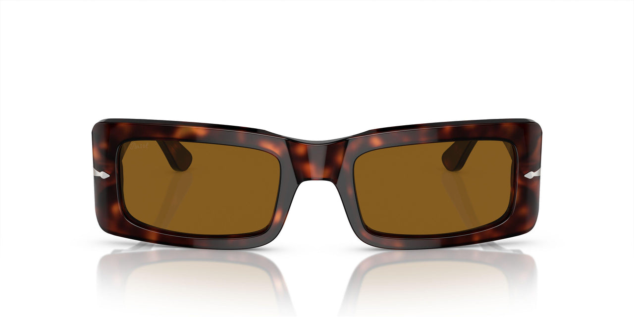 24/33 - Tortoise - Brown