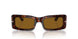 24/33 - Tortoise - Brown