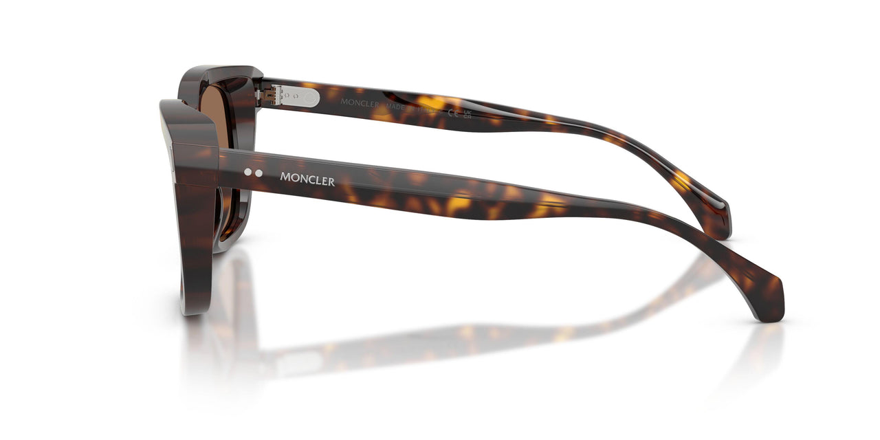 300273 - Tortoise - Brown Solid