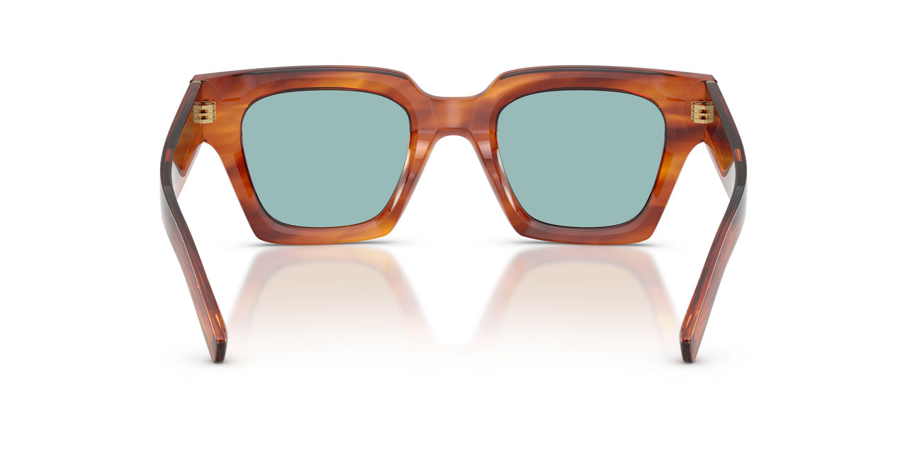 322180 - Tortoise - Blue