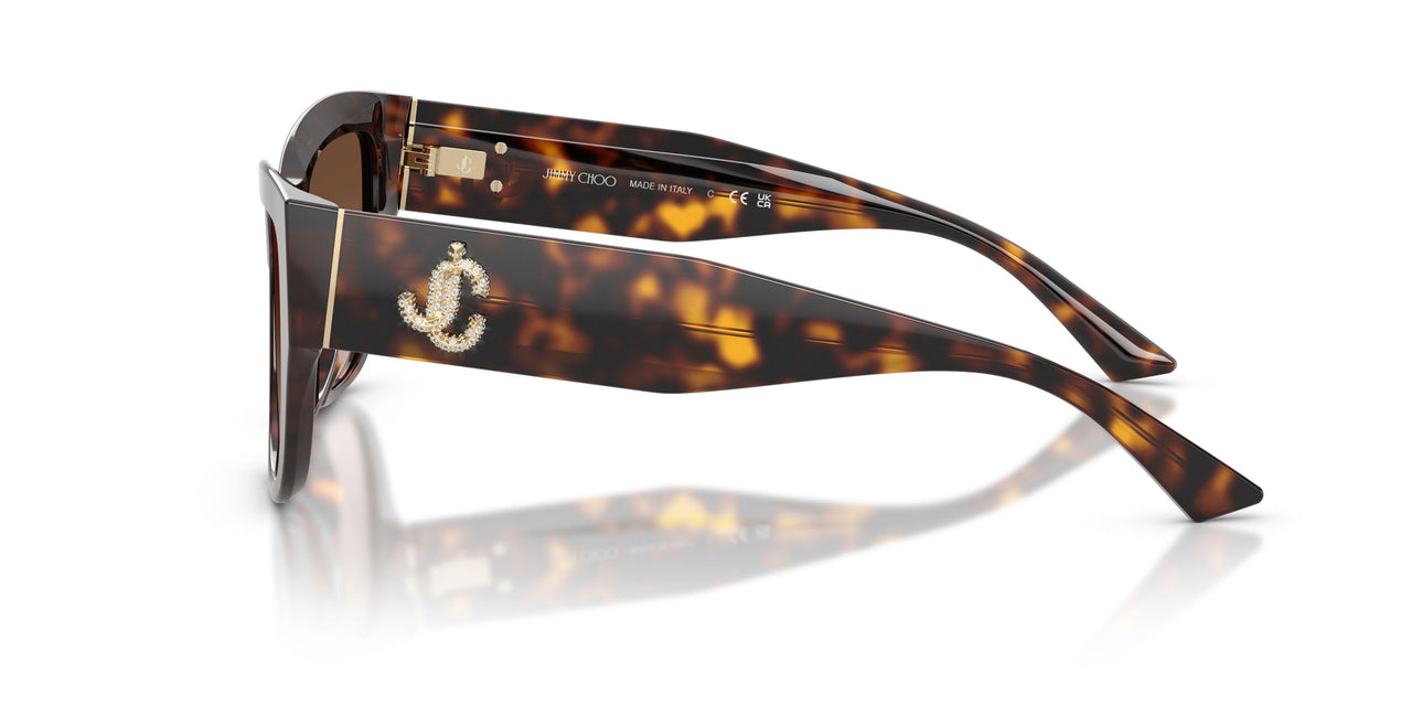 500213 - Tortoise - Gradient Brown