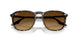 143185 - Yellow - Gradient Brown