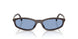 22C60O - Brown - Light Blue