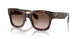 502613 - Tortoise - Gradient Brown