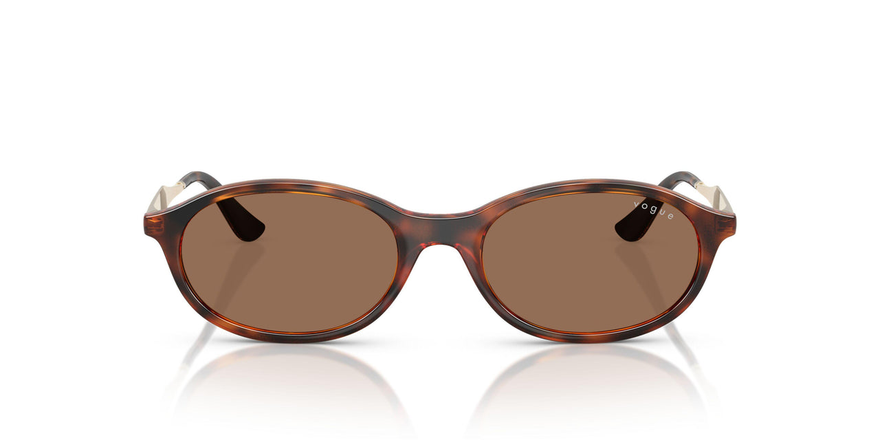 W65673 - Brown - Dark Brown