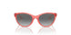 537711 - Pink - Gradient Grey