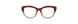 168 - Chestnut Fade