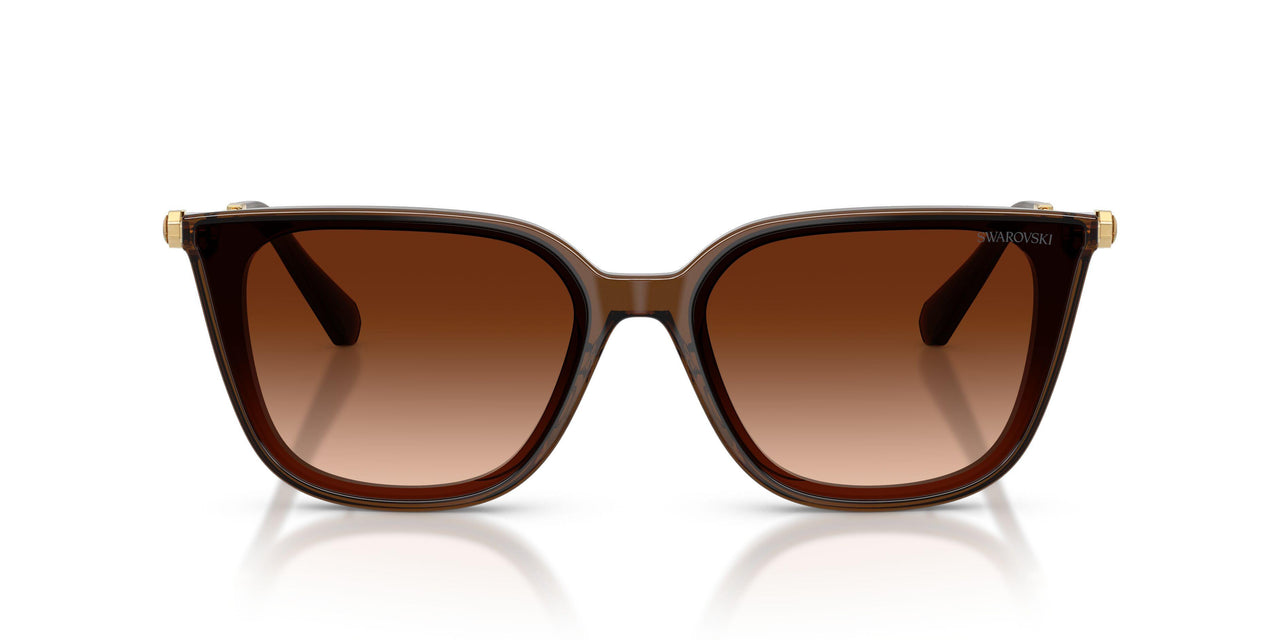 108474 - Brown - Gradient Brown