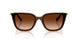 108474 - Brown - Gradient Brown