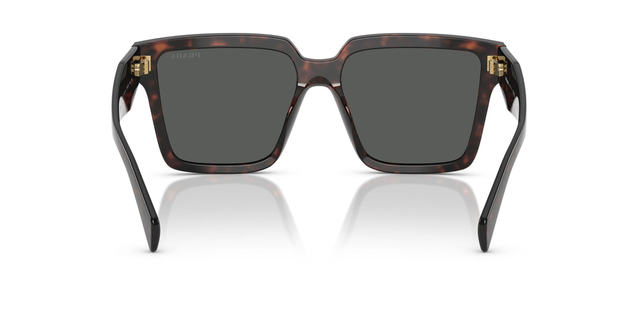 17N40L - Tortoise - Dark Grey