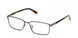 Guess 50244 Eyeglasses