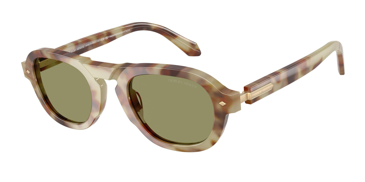 629914 - Tortoise - Green