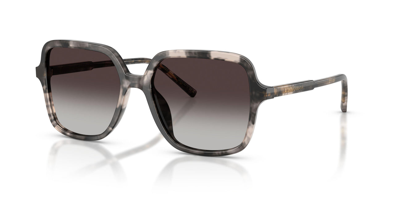 31728G - Tortoise - Grey Gradient