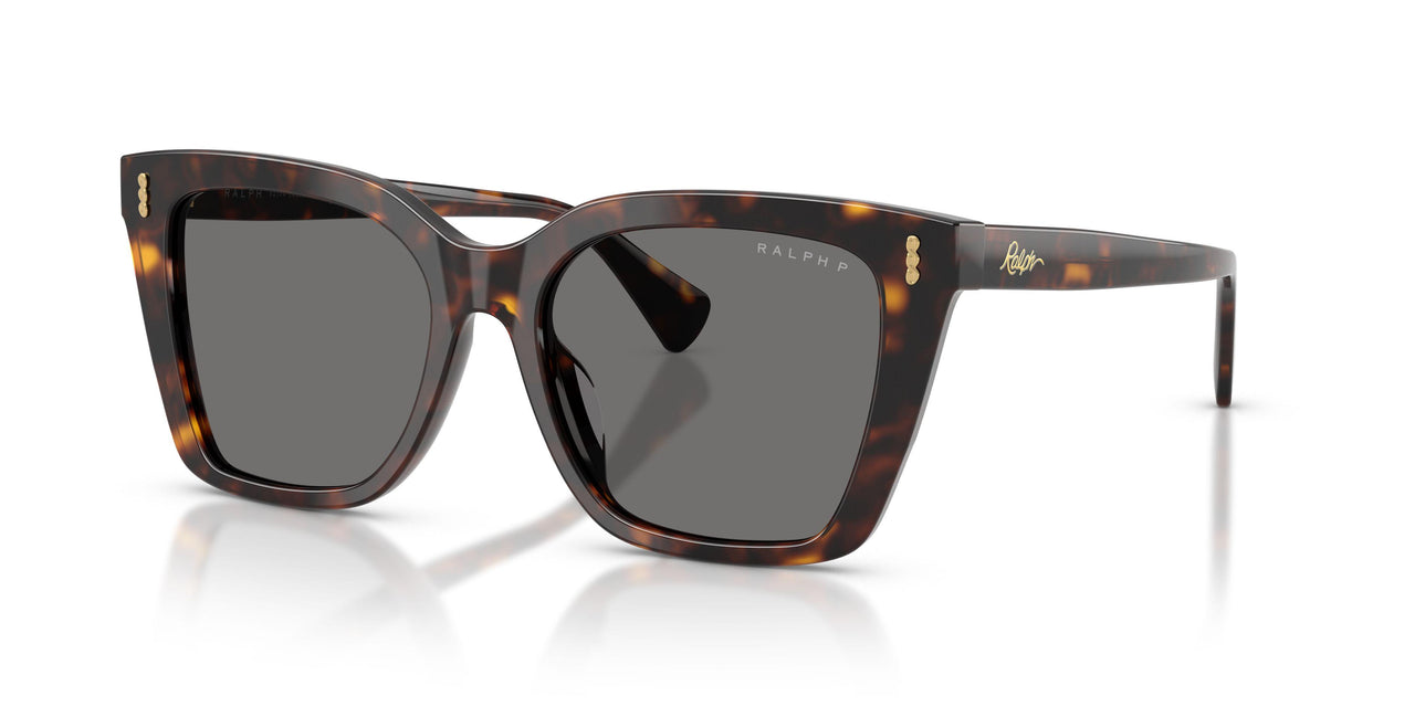 500381 - Tortoise - Polar Grey