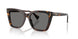 500381 - Tortoise - Polar Grey