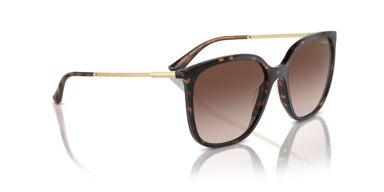 W65613 - Brown - Brown Gradient