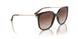 W65613 - Brown - Brown Gradient